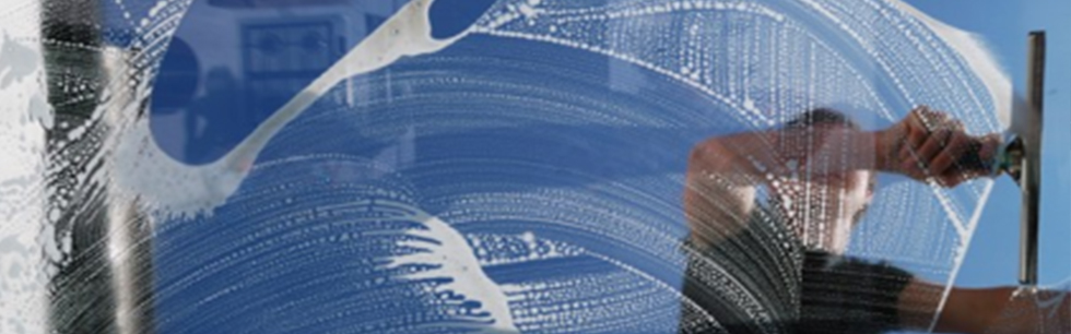 Professional Window Cleaning